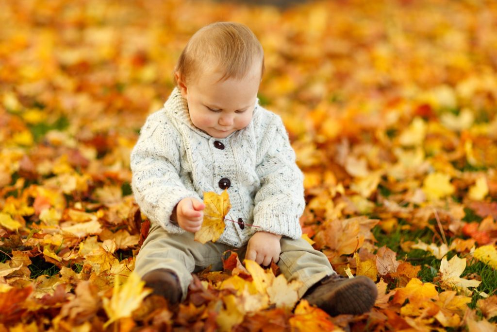 autumn-fall-baby-boy-child-40893